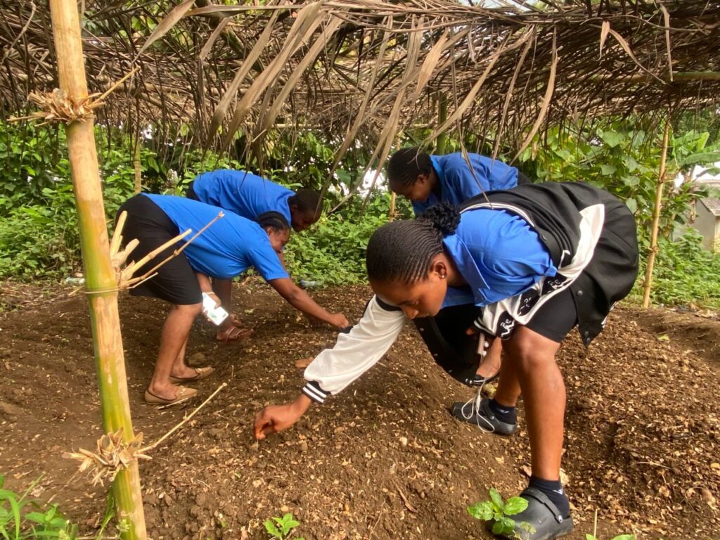 whatsapp image 2026 03 11 at 02.07.46