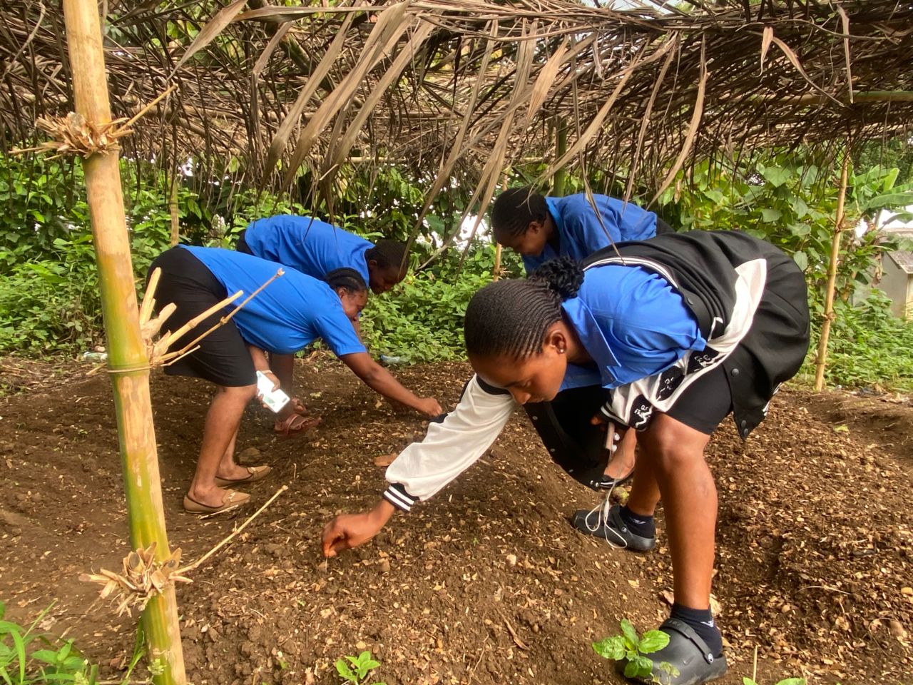 whatsapp image 2026 03 11 at 02.07.46